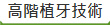 Ӥ޳N